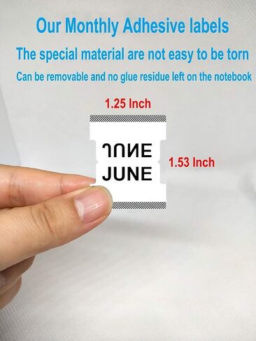 Durable Monthly Calendar Index Stickers,Colorful Monthly Self Adhesive Planner Tab Stickers Labels for Journal and Notebook 60 Pcs in Saudi Arabia
