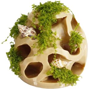 3D-Printed Fish and Shrimp Hideout with Moss and Seashells as Fish Tank Decorations Aquarium Shelter Accessories Betta and Shrimp Hidden Cave Tank Decor Aquarium Scenery Hideout