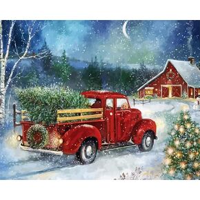 SOTYIOO Christmas Paint by Numbers for Adults, Snowman Paint by Numbers for Adults Beginner Drawing Paintwork with Paintbrushes On Canvas Wrinkle-Free Canvas Acrylic Pigment Oil Paint 16x20inch