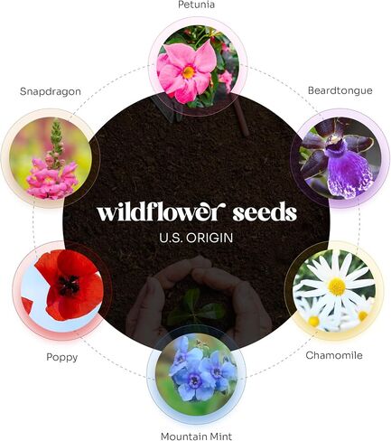 Seed Paper Thank You Cards – 4 Plantable Bouquet Inserts with Wildflower Seeds, 4 Greeting Cards & Envelopes, Unique Gift for Birthdays & Special Occasions in Kuwait