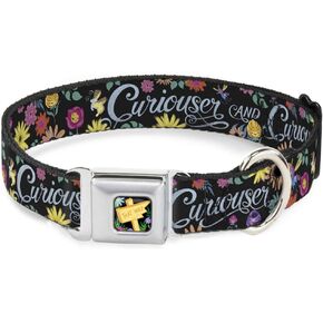 Dog Collar Seatbelt Buckle Curiouser and Curiouser Flowers of Wonderland Collage 15 to 26 Inches 1.0 Inch Wide