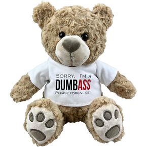 I’m Sorry Teddy Bear 10" Sitting | I Love You Im Sorry Plushie | Im Sorry Gifts for Her Stuffed Animal