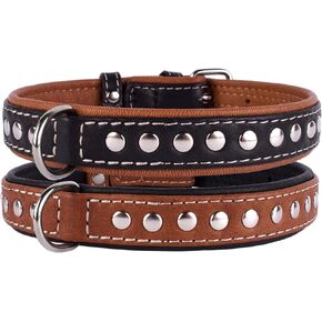 CollarDirect Studded Dog Collar Leather Pet Collars for Dogs Small Medium Large Puppy Soft Padded Brown Black (Brown, Neck fit 11" - 13")