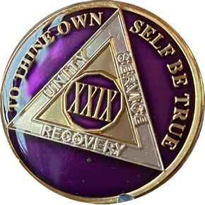 Ranger Industries 29 Year AA Medallion Medallion Medallic Purple Tri-Plate Soberice Chip XXIX
