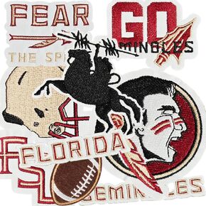 9PCS Florida Iron on Patches, Football Patches for Jeans, T-Shirts, Backpacks, Hats and More(QS)