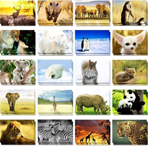 Outus 60 قطعة حيوانات برية ، بطاقات بريدية فارغة ، Pandas Lions Polar Bears Penguins Felephants Giraffes Animal Treaming بطاقات بريدية بريدية للمعلمين ، 4 × 6 بوصات ، 20 أنماط in Saudi Arabia