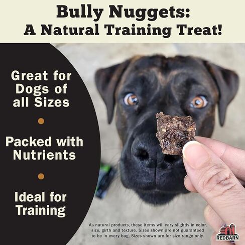 Redbarn All-Natural Bully Nuggets Healthy Dog Training Treat Bites - Grain-Free Beef Lung Made in USA for Small Medium Large Breeds - Nutritious Soft Real Meat Chew Snacks - 3.9 oz Bag in Saudi Arabia