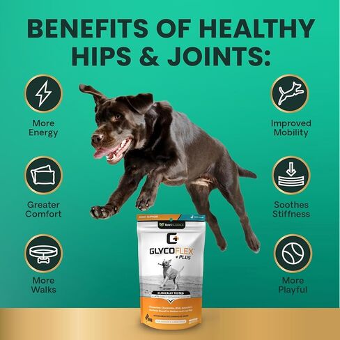 VetriScience Ultimate Strength Healthy Hip & Joint Chews, GlycoFlex Glucosamine, Chondroitin & Green-Lipped Mussel Joint Support Supplement for Dogs, Soothe Joint Discomfort, Bacon, 120 Count in Saudi Arabia