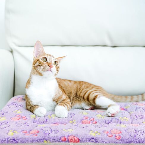 2 Pack Cat Blanket for Indoor Cat, Warm Calming Kitten & Puppy Beds for Anxiety and Stress, Washable Small Dog Mat for Crate, Fuzzy Pet Blankets in Saudi Arabia