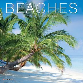 Willow Creek Press Beaches Monthly Mini 2025 Wall Calendar (7" x 7")