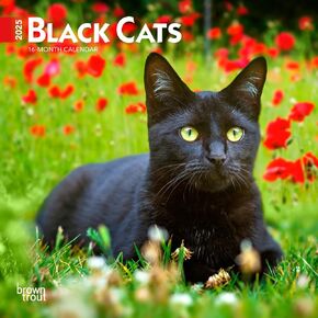 Black Cats | 2025 7 x 14 Inch Monthly Mini Wall Calendar | BrownTrout | Animals Feline Pets