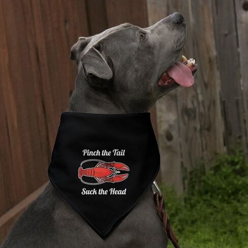 GRAPHICS & MORE Crawfish Pinch The Tail Suck The Head Crayfish Louisiana Saying Dog Pet Bandana - Black in Saudi Arabia