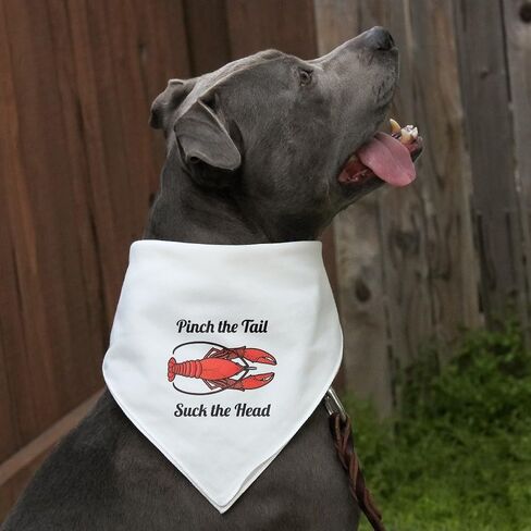 GRAPHICS & MORE Crawfish Pinch The Tail Suck The Head Crayfish Louisiana Saying Dog Pet Bandana - Black in Saudi Arabia