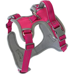 Dual Clips No Pull Dog Harness with Handle – Easy On/Off, Comfortable, Durable, No Choke and Ideal for Walking & Training (Black, Medium)