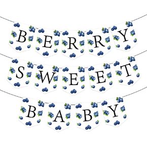 17Pcs Berry Sweet Baby Banner, Blueberry Themed Photo Decoration Props, Baby Shower Birthday Party Decorations Supplies