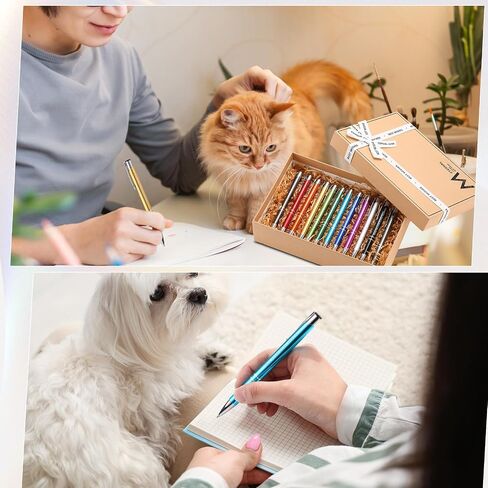 12 PCS مضحكة الكلاب الكلاب عشاق الكلاب الكلب أقلام رباح الأسود ballpoint عشاق الحيوانات الأليفة أقلام مع أقوال مضحكة هدايا هفوة المكتب in Saudi Arabia