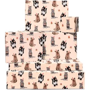 CENTRAL 23 - Cat Wrapping Paper - 6 Sheets of Pink Birthday Gift Wrap - Kittens in Hats - For Women Girls New Baby - Recyclable