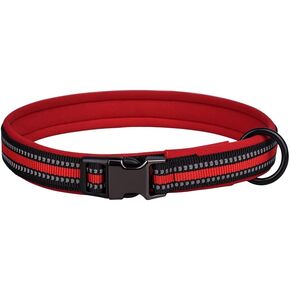Reflective Nylon Dog Collar with Safety Buckle, Adjustable Pet Collars with Soft Neoprene Padding for Small Medium Large Dogs (M fit Neck 42-55cm, Orange)