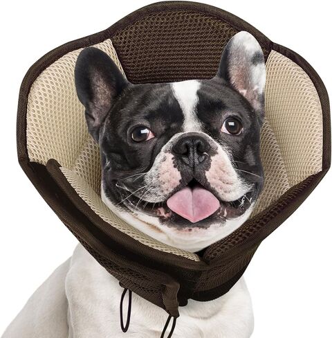 AOFITEE Large Dog Cone Adjustable Dog Cone to Stop Licking, Blue XL in Saudi Arabia