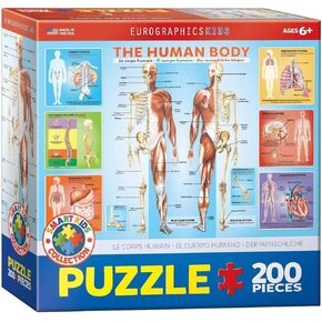 EuroGraphics Human Body Jigsaw Puzzle (200-Piece)