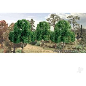 Professional Series: Deciduous, 1.5"