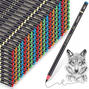 100 Pcs Charcoal Pencils Drawing Set, Charcoal Pencils bulk for Drawing Sketching Shading Blending Portrait Beginners and Artists(White,White Style)