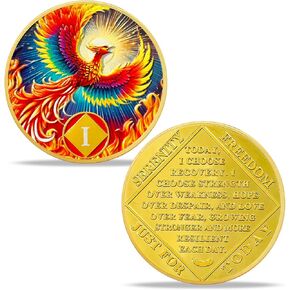 3 سنوات هدايا عملة الرصانة | New Radiance Phoenix Na Coin - Ha AA Chip Na Medallion مع صلاة الصفاء | مخدرات مدمني الكحول هدايا مجهولة للرجال الذكرى السنوية