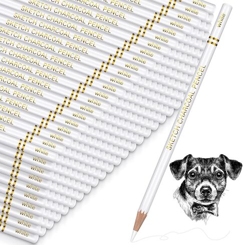 100 Pcs Charcoal Pencils Drawing Set, Charcoal Pencils bulk for Drawing Sketching Shading Blending Portrait Beginners and Artists(White,White Style) in Kuwait