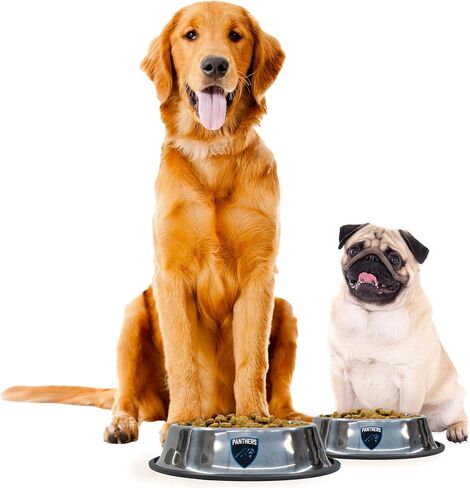 Littlearth NFL Washington Commanders Everyday Pet Bowl, Large in Saudi Arabia