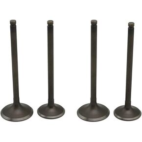 AHL 2pairs Intake Exhaust Valve Set for Suzuki GZ250 1999-2011 (Gift Valve Stem Seal)