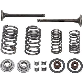 GOOFIT Intake Valve and Exhaust Valve Springs Stem Seals for GY6 50cc 139QMB ATV Scooter Roketa Taotao Sunl
