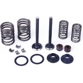 Glixal ATMT1-061 139QMB 139QMA 50cc 60cc 80cc 100cc GY6 Cylinder Head Intake & Exhaust Valves Set with Valve Spring Assembly Kit for Chinese Scooter Moped ATV Go Kart (69mm Length)