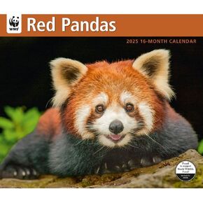 Calendar Ink, Red Pandas WWF 2025 Wall Calendar