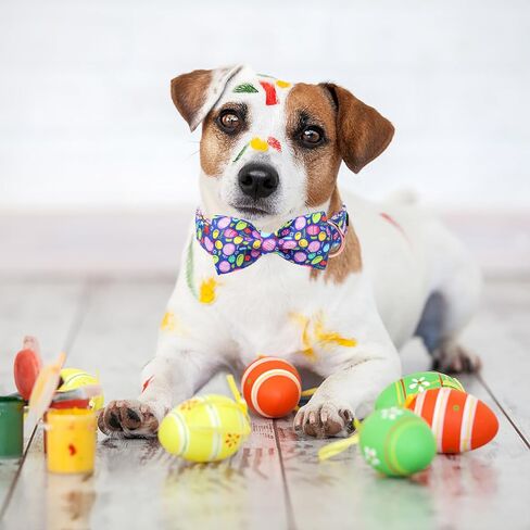 Unique Style Paws Easter Dog Collar with Bow Colorful Egg Rabbit Dog Collar Bowtie Collar for Large Medium Small Dogs in Kuwait