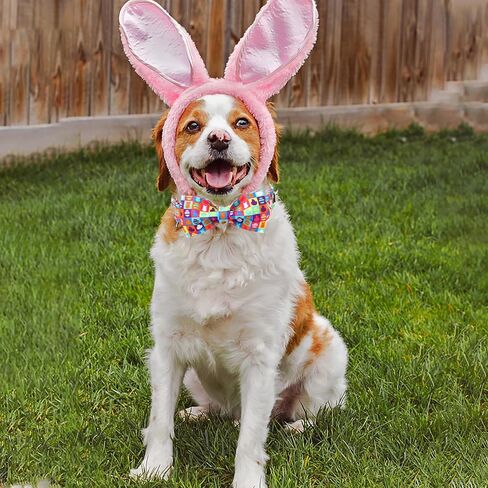 Unique Style Paws Easter Dog Collar with Bow Colorful Egg Rabbit Dog Collar Bowtie Collar for Large Medium Small Dogs in Kuwait