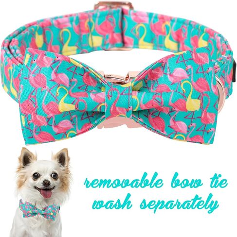 Unique Style Paws Easter Dog Collar with Bow Colorful Egg Rabbit Dog Collar Bowtie Collar for Large Medium Small Dogs in Kuwait