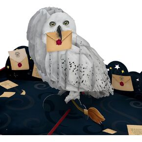 Lovepop Happy Birthday Produst Card بالنسبة لها وله - 3D Harry Potter Birthday Birthday Cards for Boys والبنات والرجال والنساء - تسليم خاص - بطاقة Hedwig 5 "× 7" - بطاقة ملاحظة فارغة ومغلف
