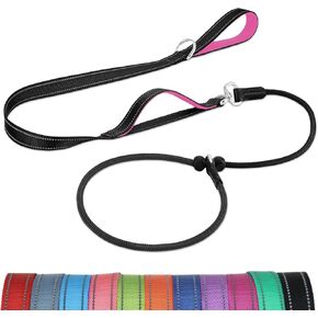Joytale Tangle-Free Slip Leads for Dogs, 6 FT Slip Leash with Padded Double Handle, Reflective Nylon Training Leash for Small Medium Dogs 15-40 Lbs, Turquoise
