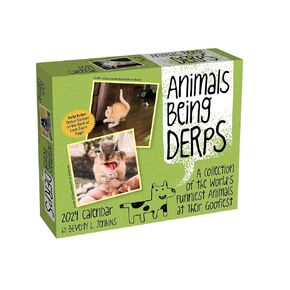 Animals Being Derps 2024 Day-to-Day Calendar