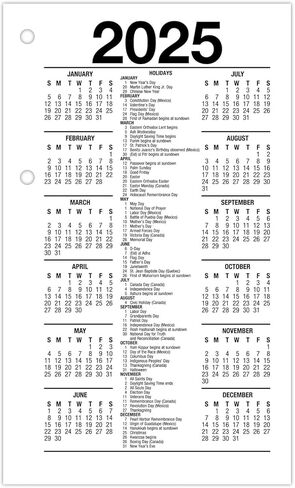 AT-A-GLANCE 2025 CALLENDAR CALENDAR DELLENDAR ، يوميًا ، 3-1/2 "× 6" ، قياسي ، فضفاضة (E717T5025) in Kuwait