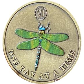 8 Year Green Dragonfly One Day at A Time Sobriety Chip AA NA Medallion