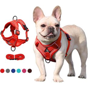 Easy Walk Dog Harness and Leash Set, Samll Dog Step in Vest Harness, Upgraded Triangular Stable Ring, 2 Leash Clips, No Pull Pet Supplies for Outdoor Walking Training Green L