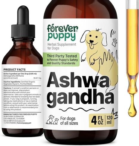 Ashwagandha Drops for Dogs - Calming Care with Ashwagandha Root Tincture - Liquid Alternative to Calming Chews for Dogs' Composure & Relaxation - Canine Vitamins and Supplements - 4 oz in Saudi Arabia