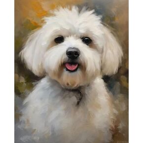 ZUVRDIAI DIY Paint by Numbers for Adults Bichon Frise Dog with Brushes and Acrylic Paint DIY Canvas Painting for Adults Beginner 40x50cm