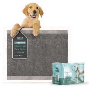 Disposable Puppy Pads Potty Training - 10 Activated Charcoal Pee Pads for Dogs with Attractant - Wee Wee Absorbent, Odor Neutralizer Dog Pads - Five Layered Pet Potty Pads - 28" x 34"
