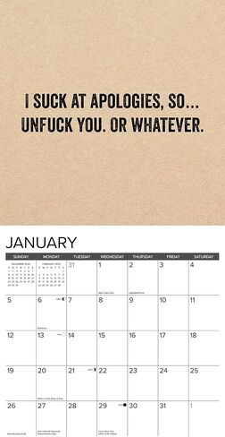 Willow Creek Press F*CK IT Monthly 2025 Wall Calendar (12" x 12") in Saudi Arabia