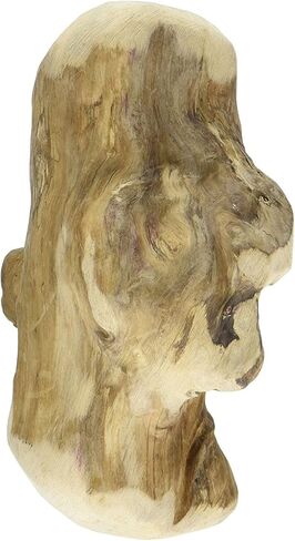 DARE DOG 089653 Gorilla Chew Natural ، صغير ، 1piece in Kuwait