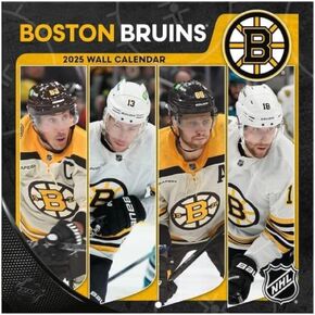 TURNER SPORTS Boston Bruins 2025 Mini Wall Calendar (25998040583)