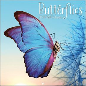 Turner Photographic Butterflies Photo Mini Wall Calendar (24998950054)