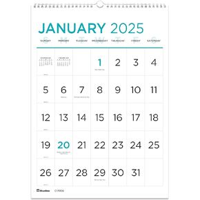 Blueline® 2025 Monthly Wall Calendar, Large Print, 12 Months, January to December, Twin-Wire Binding, 12" x 17" (C173106-25)